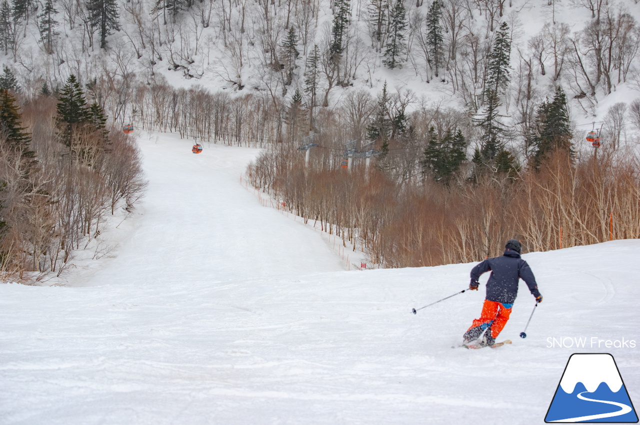 札幌国際スキー場｜山頂の積雪は、300cm！連日の春スキー＆スノーボード日和から一転、今日は冬が帰ってきました♪